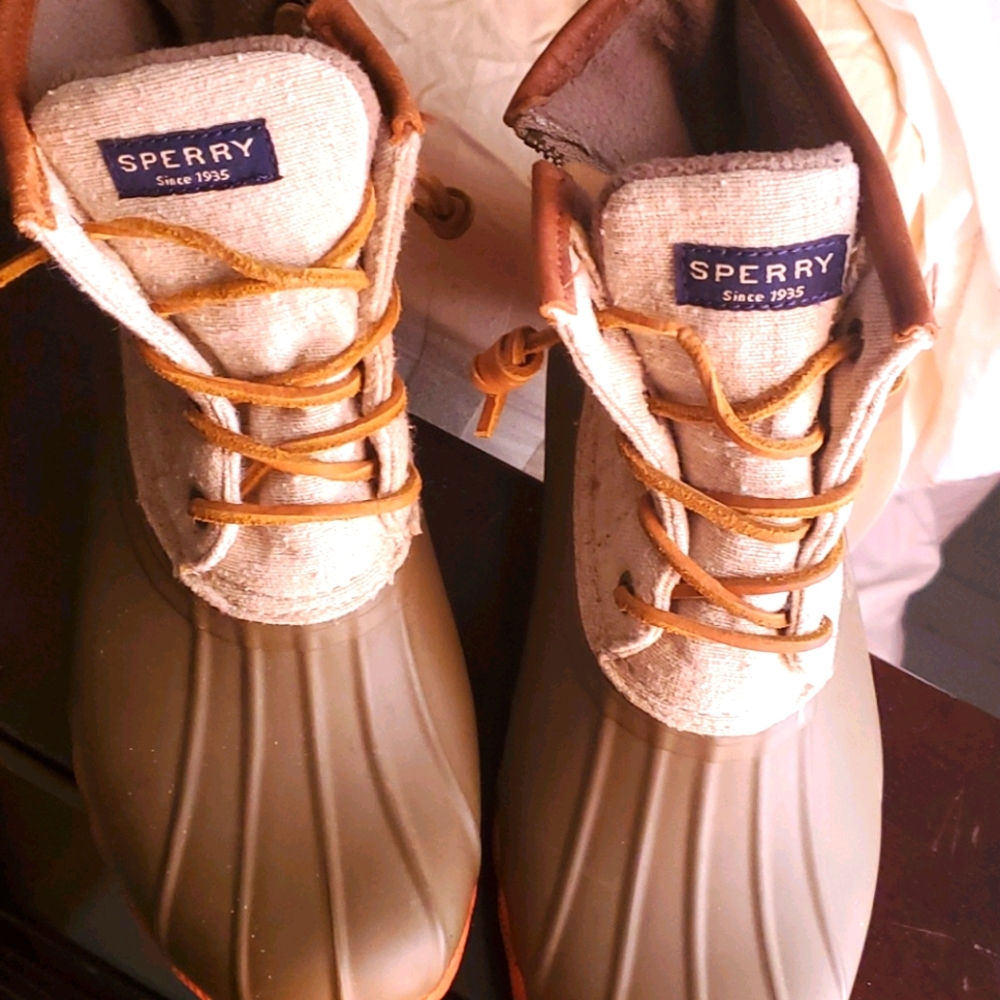 Shoe